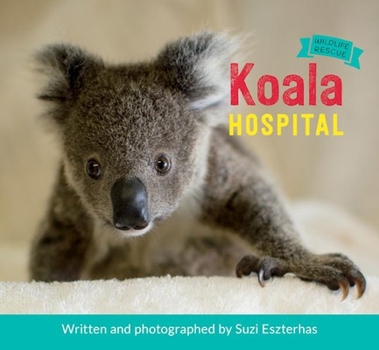Hardcover Koala Hospital Book