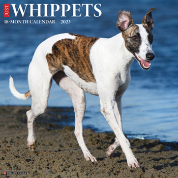 Calendar Just Whippets 2023 Wall Calendar Book