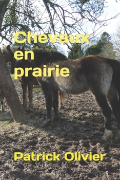 Paperback Chevaux en prairie [French] Book