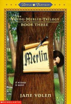 Merlin (Young Merlin Trilogy, Book 3) - Book #3 of the Young Merlin Trilogy
