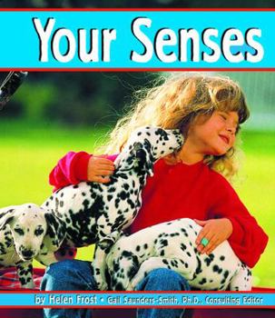 Hardcover Your Senses Book