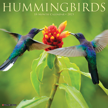 Calendar Hummingbirds 2023 Wall Calendar Book