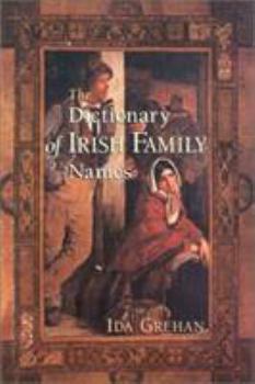 Paperback Dictionary of Irish Family Names Book