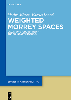 Hardcover Weighted Morrey Spaces: Calderón-Zygmund Theory and Boundary Problems Book