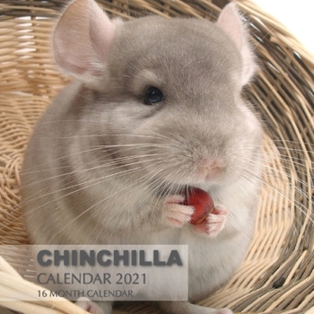 Paperback Chinchilla Calendar 2021: 16 Month Calendar Book
