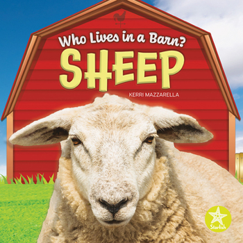 Paperback Sheep Book