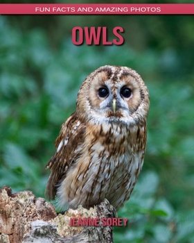 Owls: Fun Facts and Amazing Photos