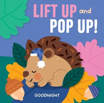 Board book Lift Up and Pop Up - Goodnight Book