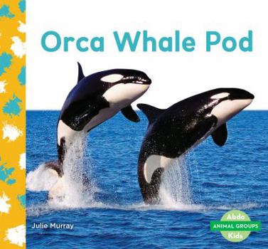 Orca Whale Pod - Book  of the Grupos de Animales / Animal Groups