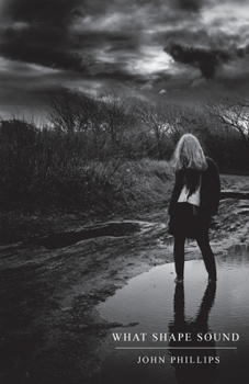 Paperback What Shape Sound Book