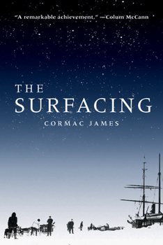 Paperback The Surfacing Book