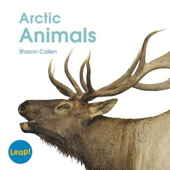 Paperback Arctic Animals Book