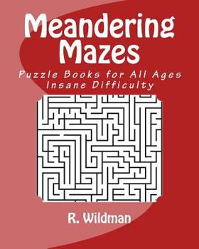 Paperback Meandering Mazes: Puzzle Books for All Ages - Insane Difficulty Book