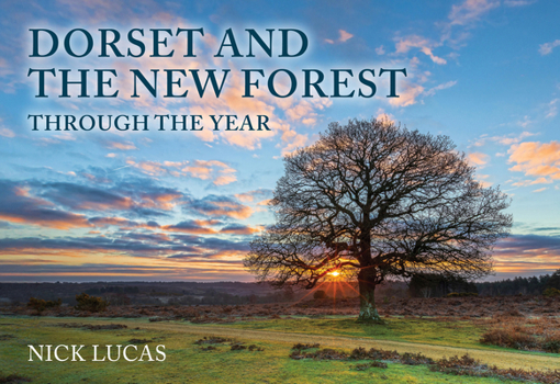 Paperback Dorset and the New Forest Through the Year Book