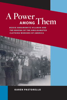 Hardcover A Power Among Them: Bessie Abramowitz Hillman and the Making of the Amalgamated Clothing Workers of America Book