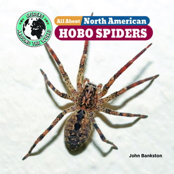 All about North American Hobo Spiders (Spiders Around the World: North America)