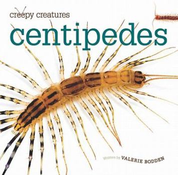 Centipedes - Book  of the Creepy Creatures