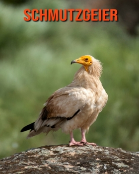 Schmutzgeier: Schöne Bilder & Kinderbuch mit interessanten Fakten über Schmutzgeier (German Edition)