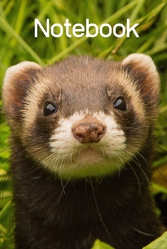 Paperback Notebook: Ferret Notebook; I love Ferrets; Ferrets are the best; Cute animal notebook; 6x9inch with 108-wide lined pages (Glossy Book