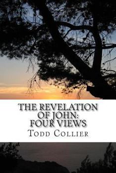 Paperback The Revelation of John: Four Views Book