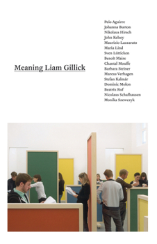 Paperback Meaning Liam Gillick Book