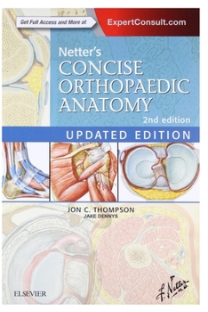Paperback Concise Orthopaedic Anatomy Book