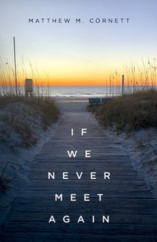 Paperback If We Never Meet Again Book