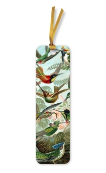 Bookmark Ernst Haeckel: Hummingbirds Bookmarks (Pack of 10) Book