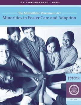 Paperback The Multiethnic Placement Act: Minorities in Foster Care and Adoption Book