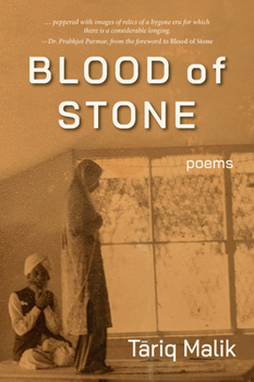 Paperback Blood of Stone Book