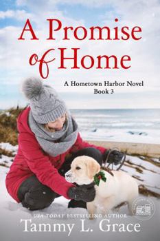 Paperback A Promise of Home (Hometown Harbor Series) Book