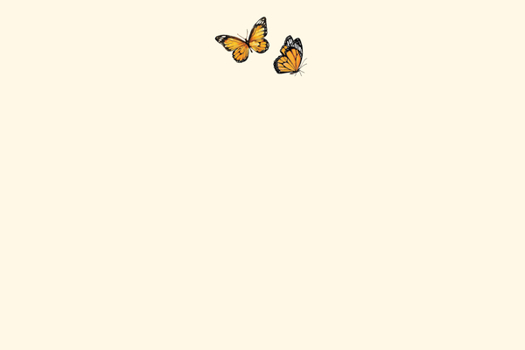 Gift Monarch Butterflies Correspondence Cards (25 Cards, 26 Self-Sealing Envelopes) Book