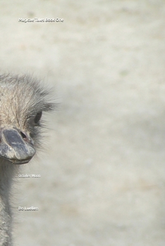 Paperback Magicae Tales Book One: October Moon Book