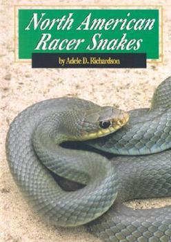 Library Binding North American Racer Snakes Book