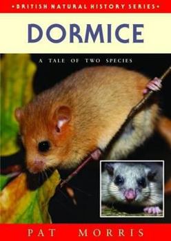 Paperback Dormice: A Tale of Two Species Book