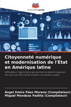 Citoyenneté numérique et modernisation de l'État en Amérique latine (French Edition)