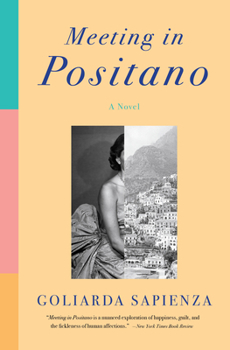 Paperback Meeting in Positano Book