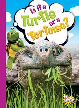 Paperback Is It a Turtle or a Tortoise? Book