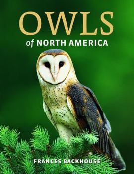 Hardcover Owls of North America Book