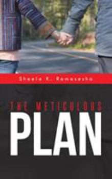 Paperback The Meticulous Plan Book