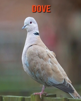 Dove: Beautiful Pictures & Interesting Facts Children Book About Dove