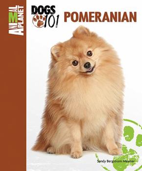 Hardcover Pomeranian Book
