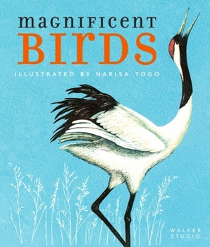 Paperback Walker Studio Magnificent Birds (Walker Studio). Book