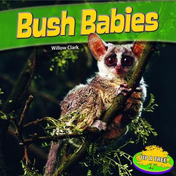 Paperback Bush Babies Book