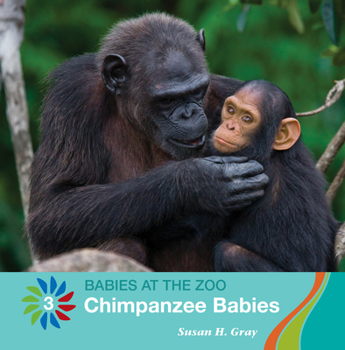 Paperback Chimpanzee Babies Book