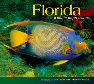 Paperback Florida Wildlife Impressions Book