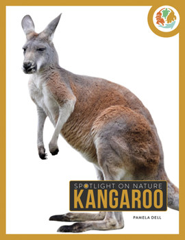 Kangaroo