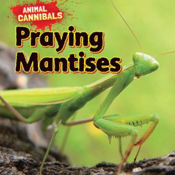 Library Binding Praying Mantises Book