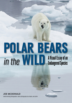 Paperback Polar Bears in the Wild: A Visual Essay of an Endangered Species Book