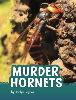 Paperback Murder Hornets Book